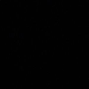 Meet your Posher, Noah